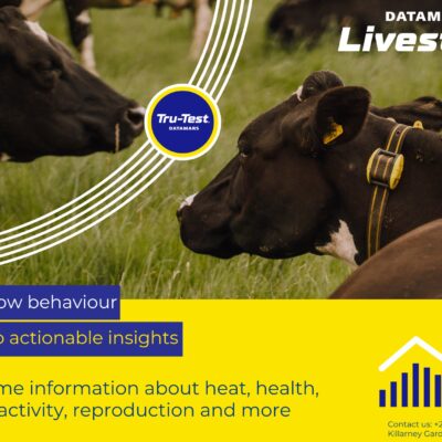 464149181_122138014898359396_3179922350281558926_n