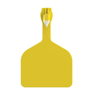 Feedlot Tags for Cattle